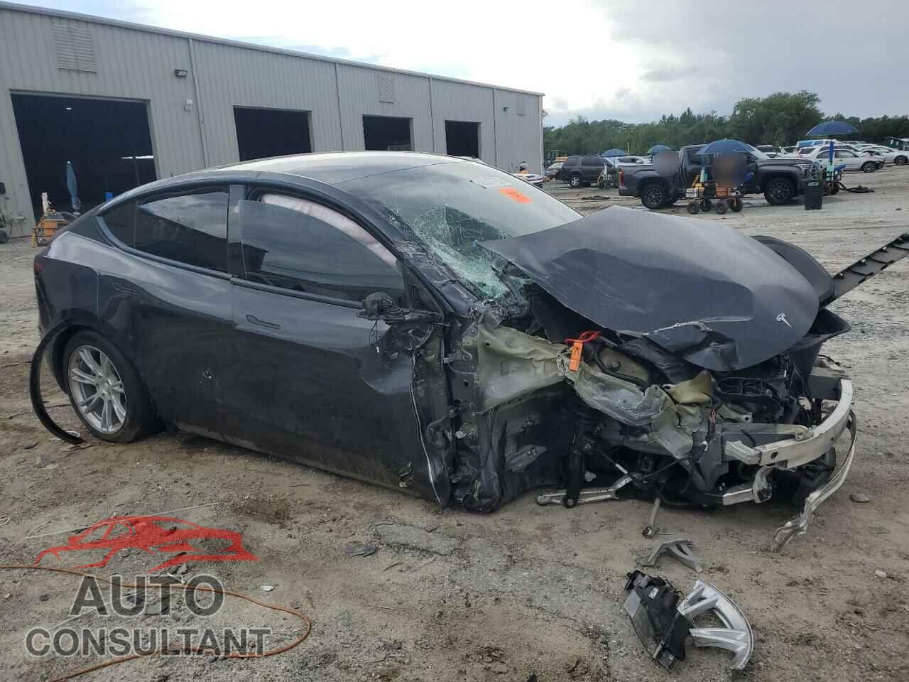 TESLA MODEL Y 2024 - 7SAYGDEE3RF993215
