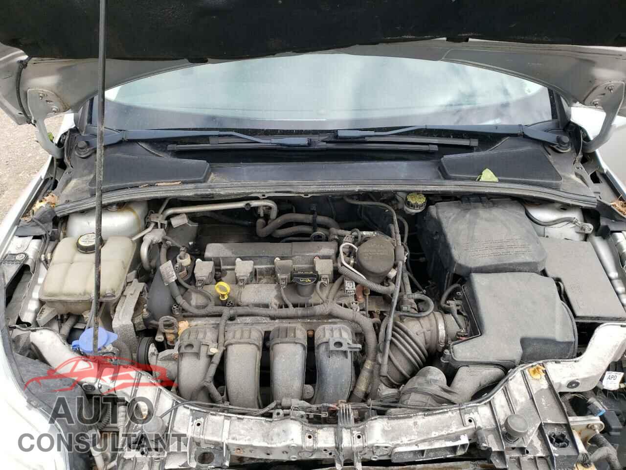 FORD FOCUS 2012 - 1FAHP3M29CL372103