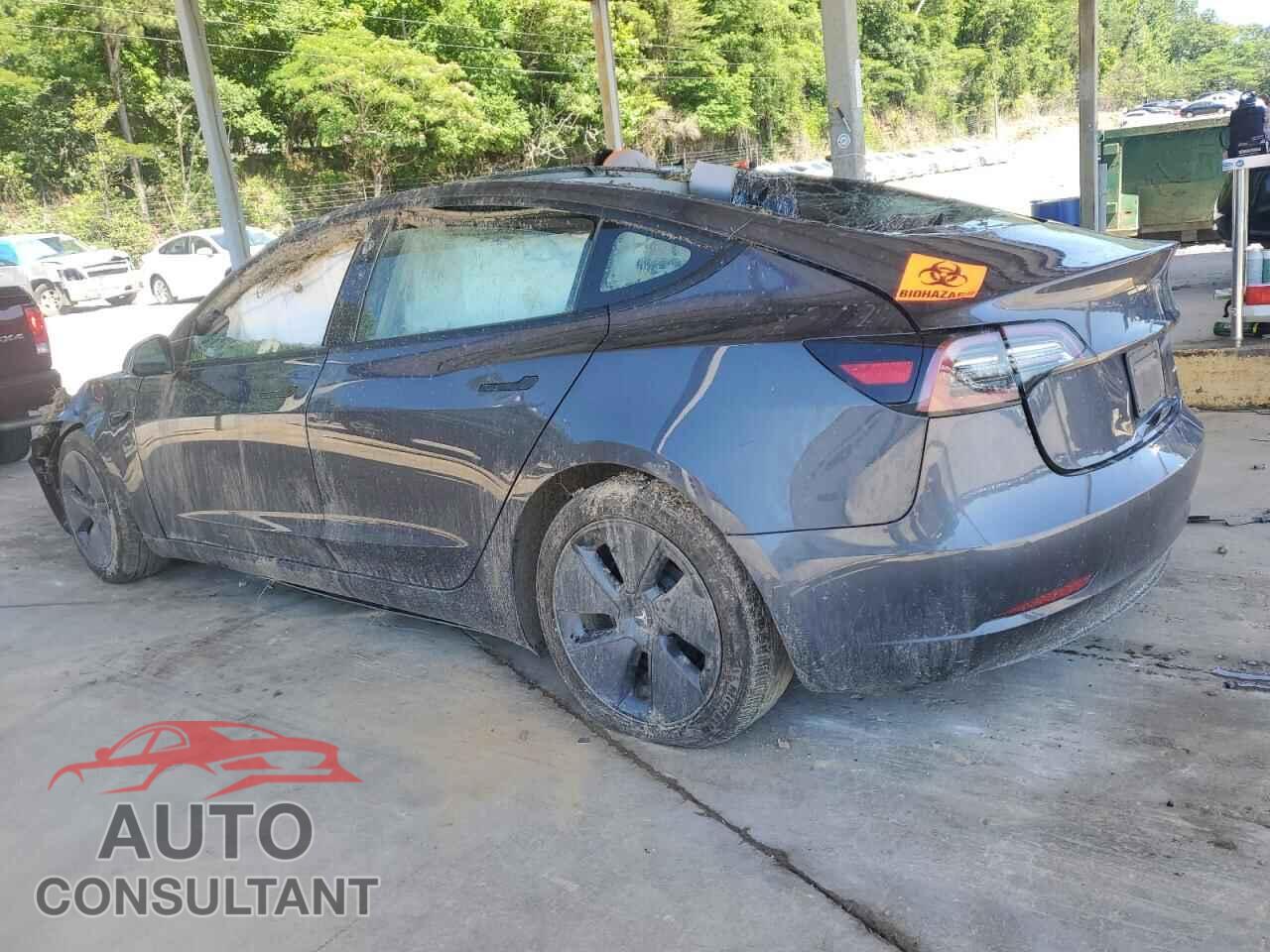 TESLA MODEL 3 2022 - 5YJ3E1EB6NF176333
