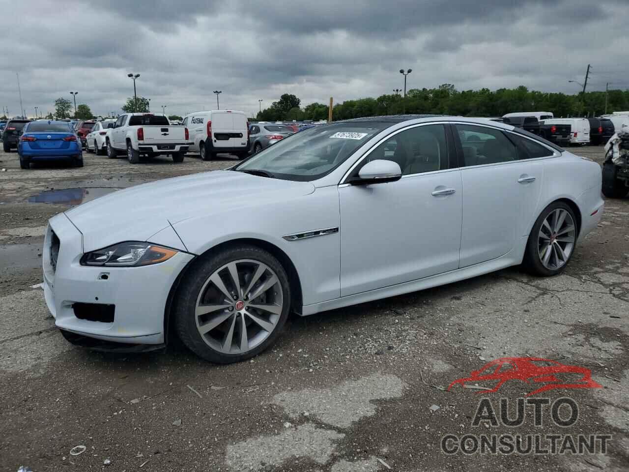 JAGUAR XJ 2016 - SAJWJ1CD1G8W01152