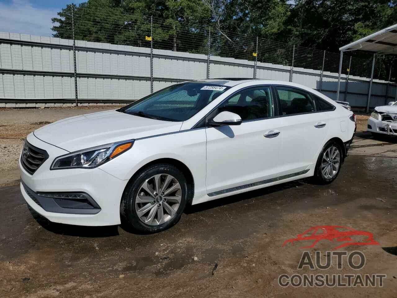 HYUNDAI SONATA 2017 - 5NPE34AF5HH458283