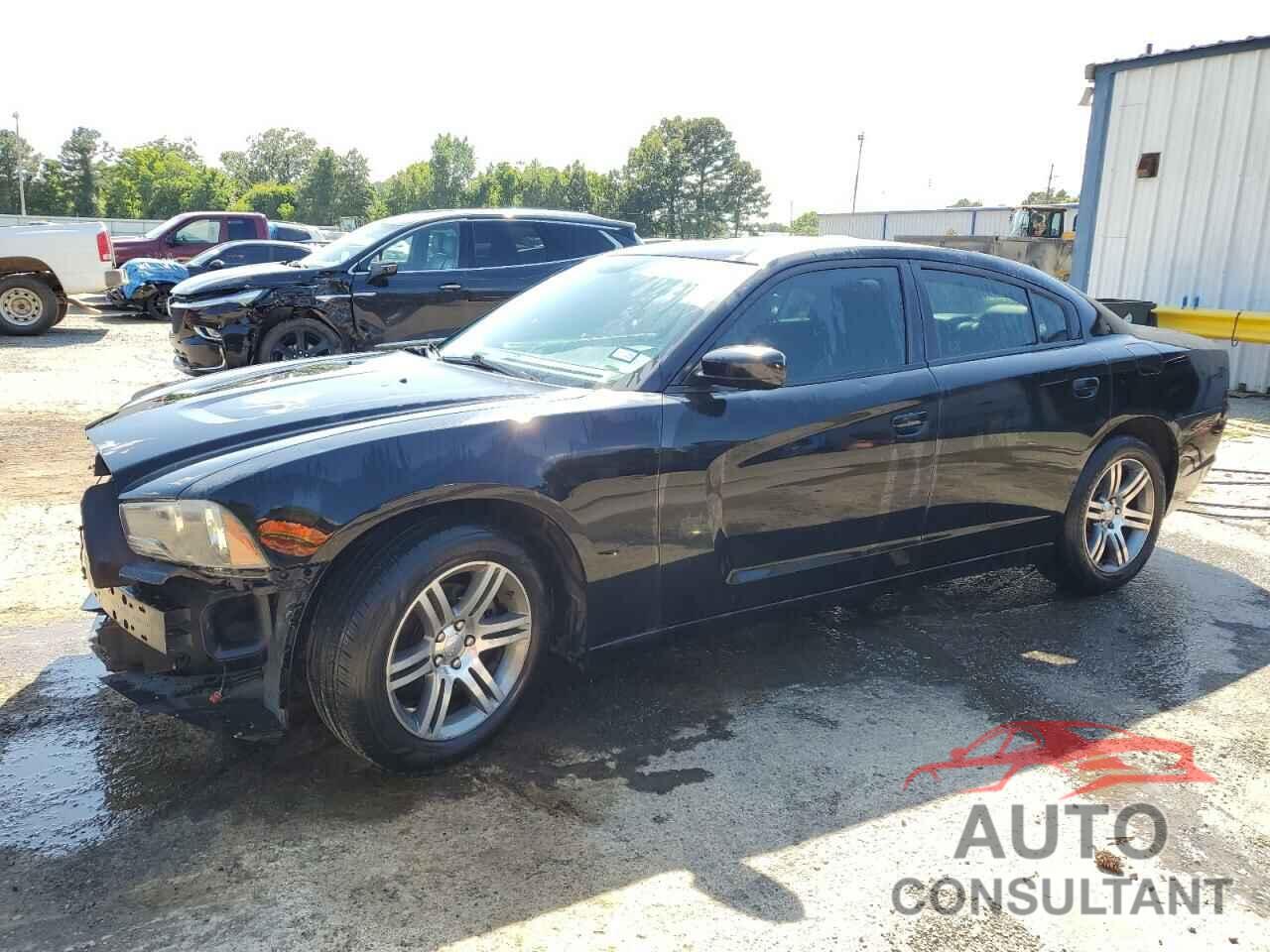 DODGE CHARGER 2013 - 2C3CDXHG3DH705439