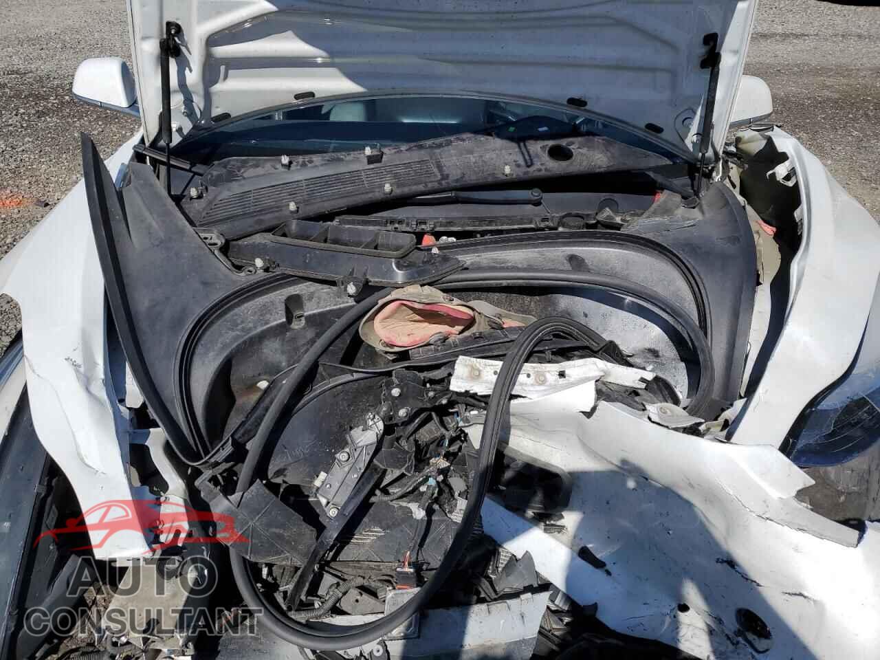 TESLA MODEL 3 2020 - 5YJ3E1EB0LF665520