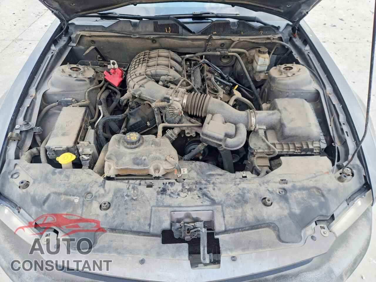 FORD MUSTANG 2011 - 1ZVBP8AM3B5160316