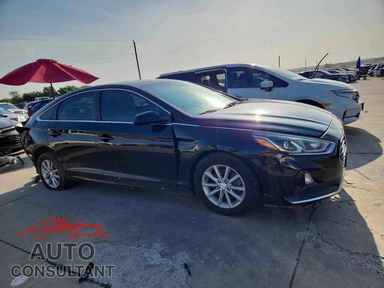 HYUNDAI SONATA 2019 - 5NPE24AF7KH767831