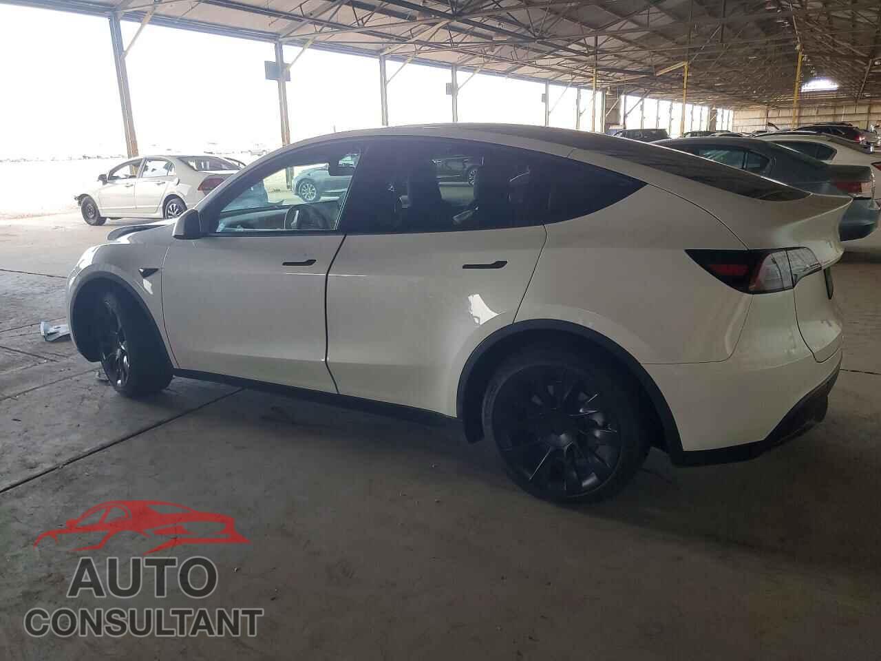 TESLA MODEL Y 2024 - 7SAYGDED1RF093999