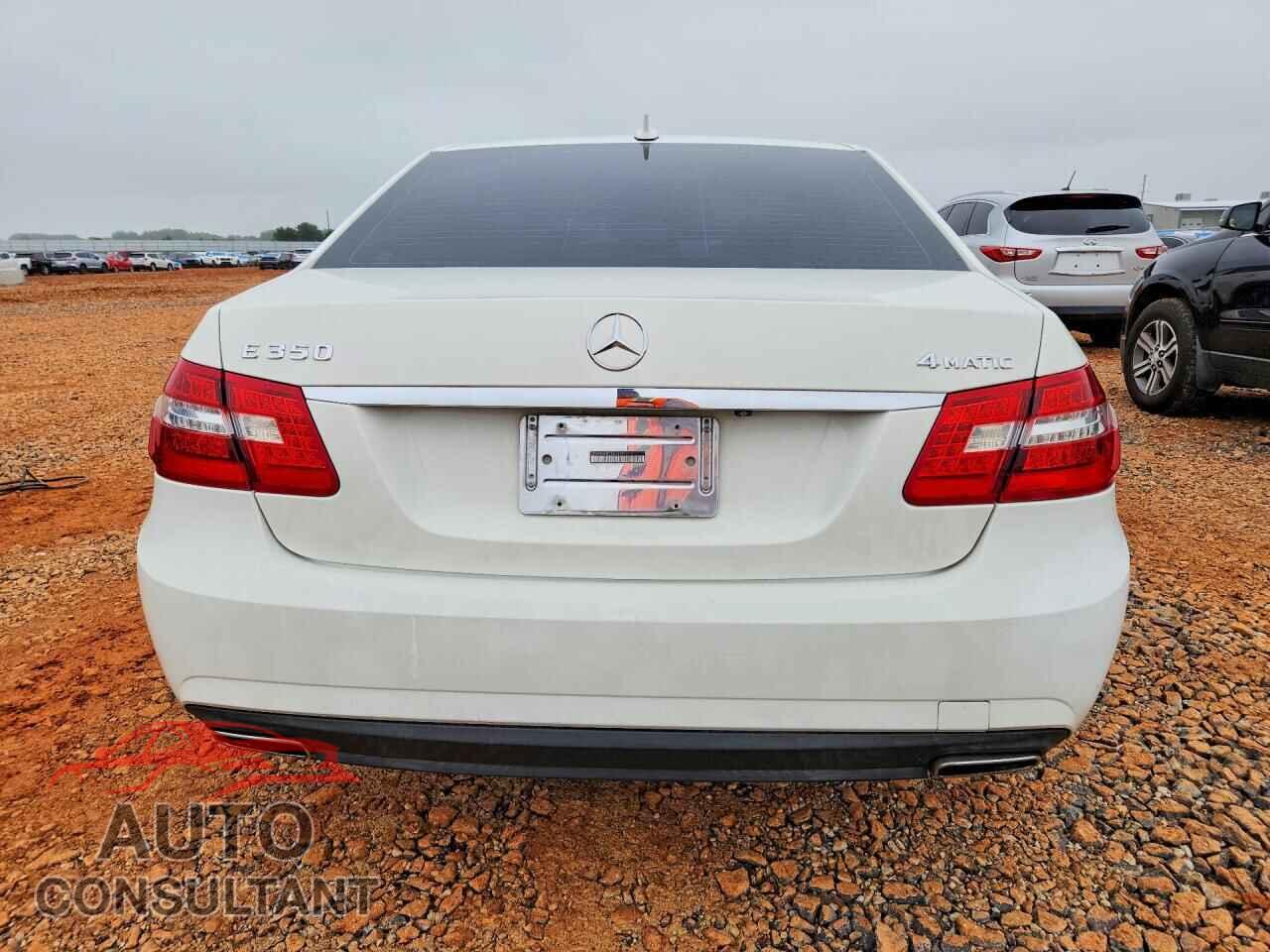 MERCEDES-BENZ E-CLASS 2010 - WDDHF8HB7AA169911