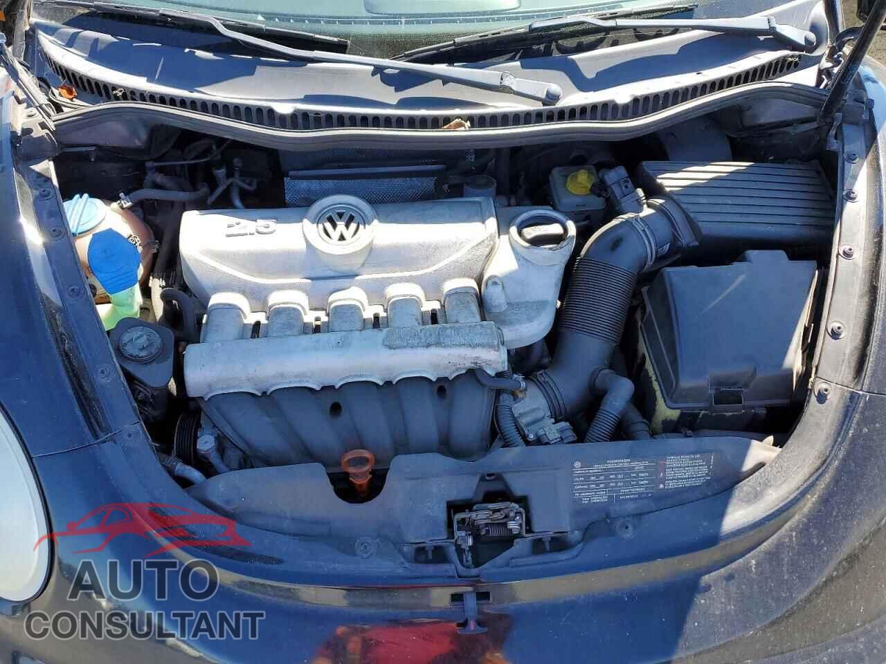 VOLKSWAGEN BEETLE 2010 - 3VWPG3AG2AM015912