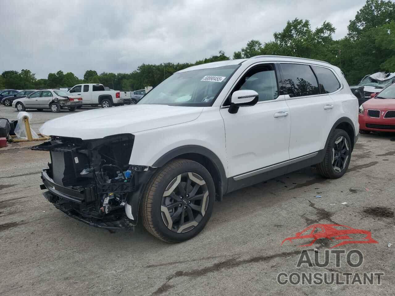 KIA TELLURIDE 2025 - 5XYP6DGC6SG624273