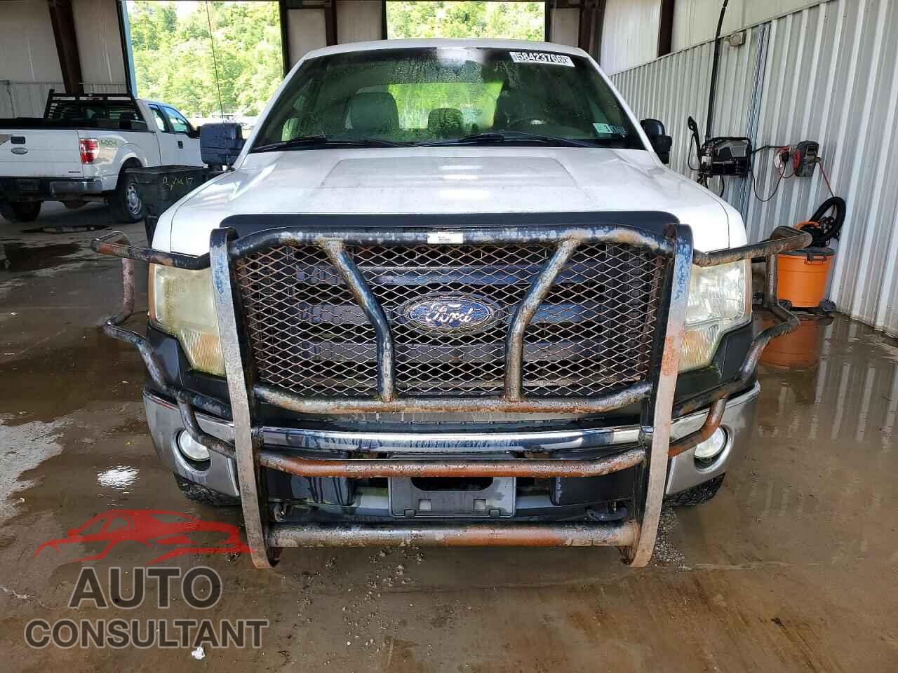 FORD F150 2011 - 1FTFX1EF4BKD62977