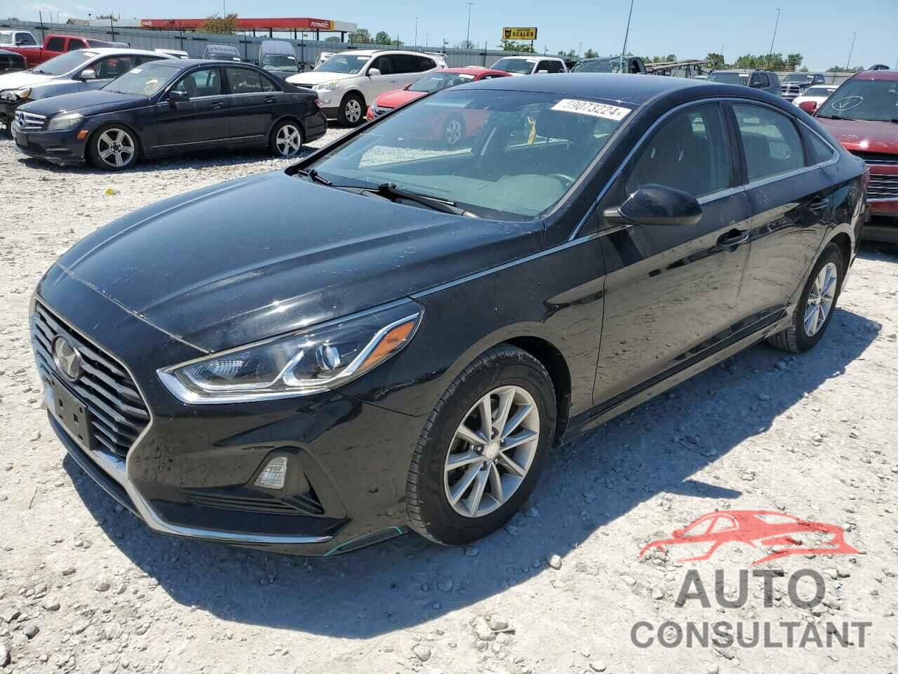 HYUNDAI SONATA 2019 - 5NPE24AF7KH757588