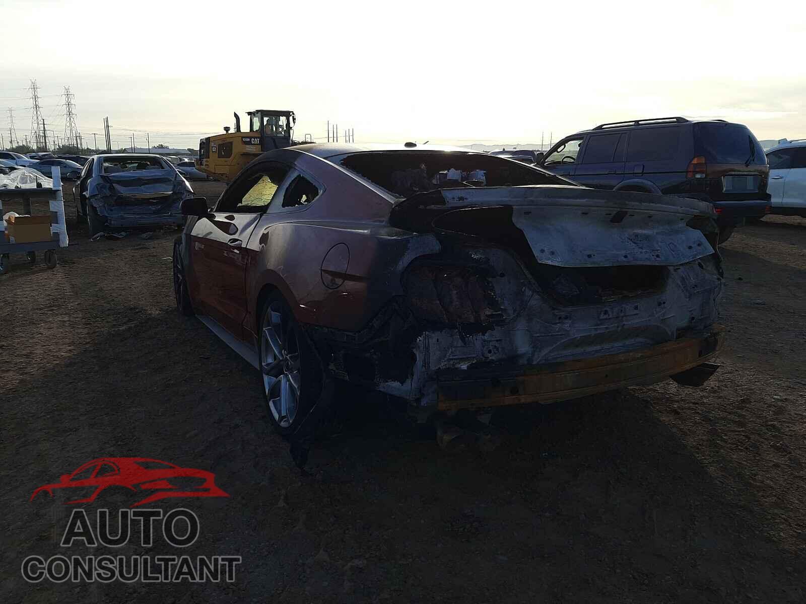 FORD MUSTANG 2019 - 1FA6P8CF3K5189355