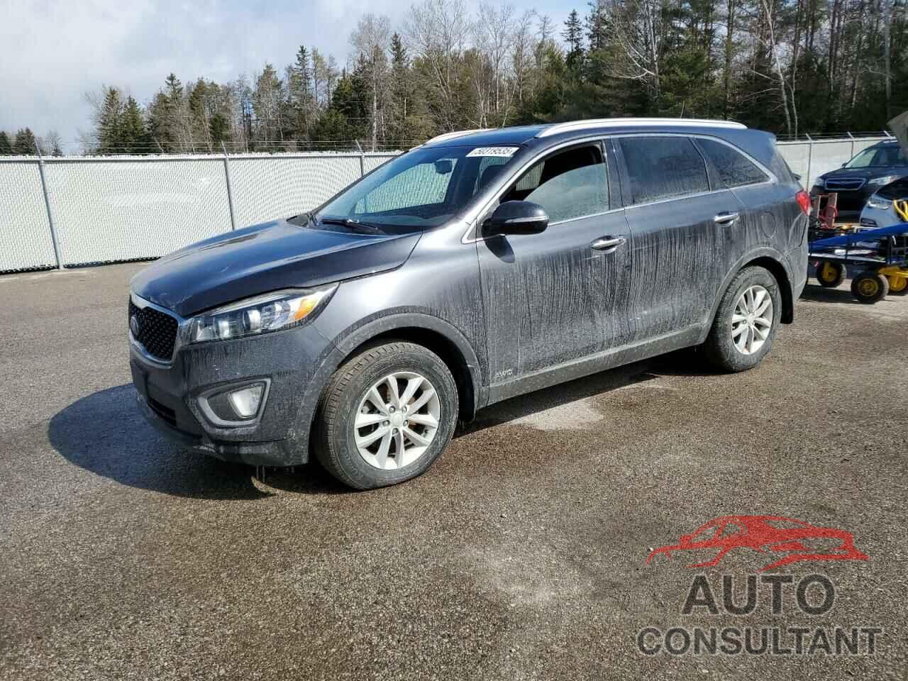 KIA SORENTO 2016 - 5XYPGDA13GG176246