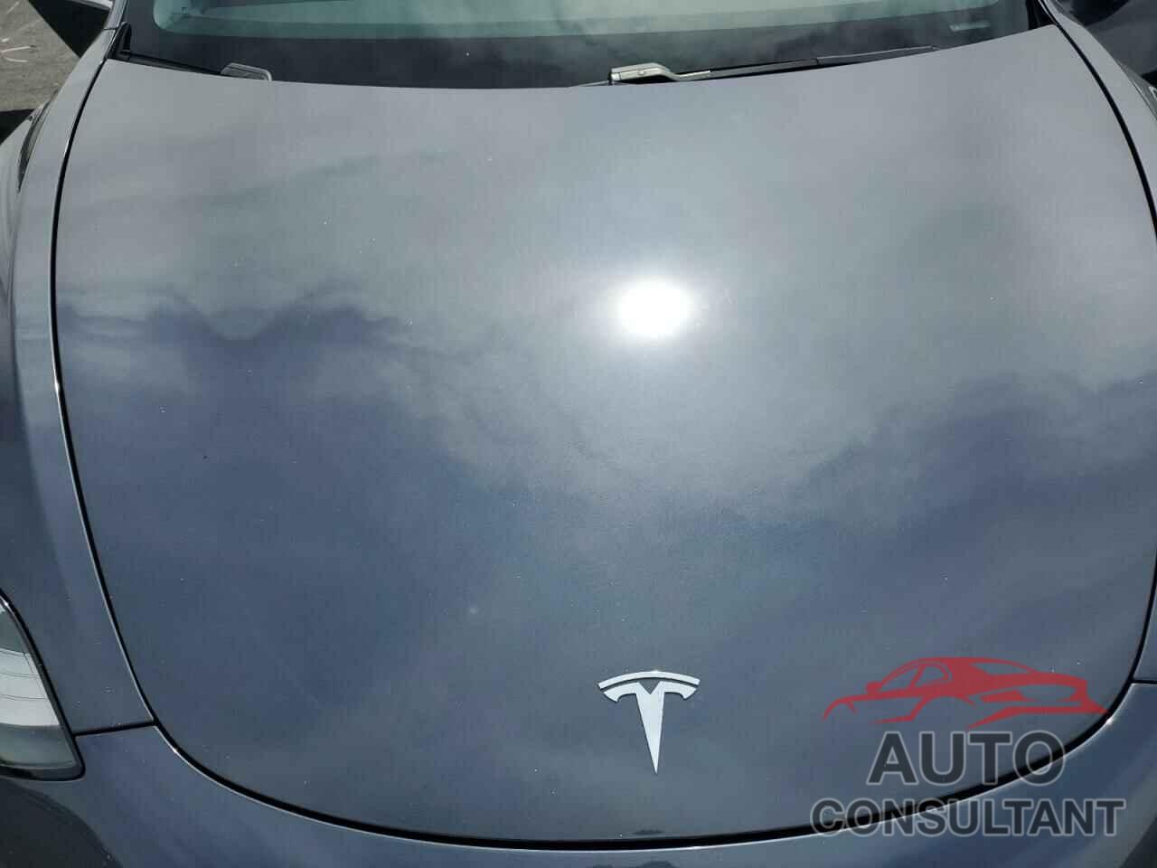 TESLA MODEL 3 2019 - 5YJ3E1EA2KF417212