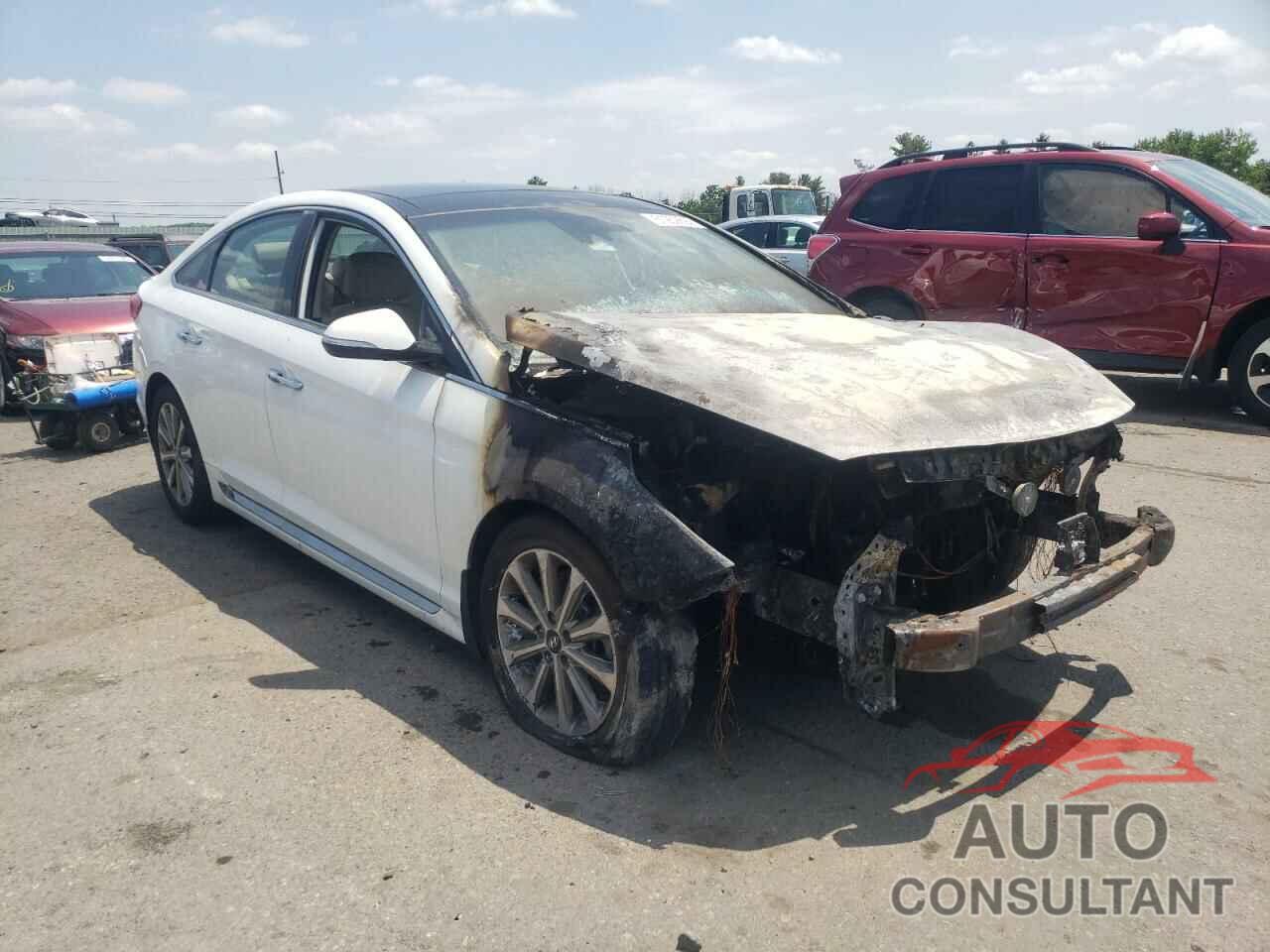 HYUNDAI SONATA 2016 - 5NPE34AF3GH323608