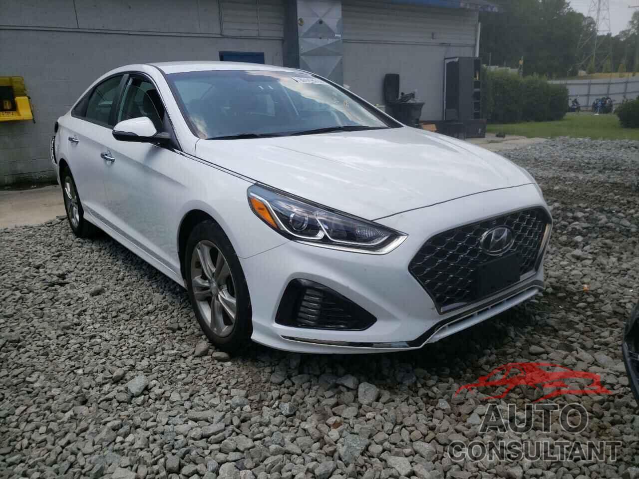 HYUNDAI SONATA 2019 - 5NPE34AF2KH746527