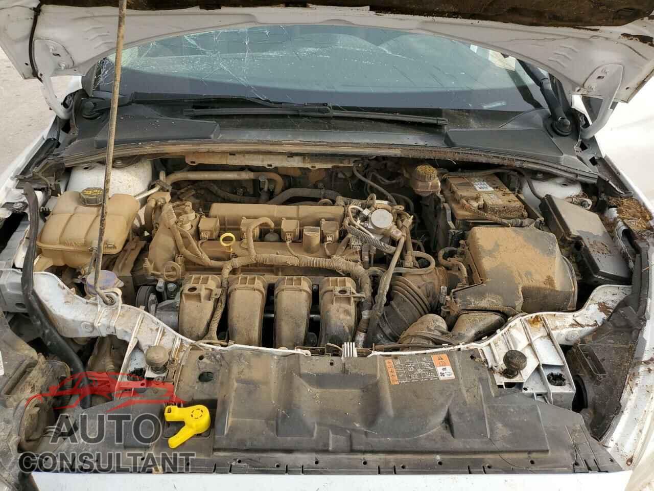 FORD FOCUS 2017 - 1FADP3E24HL313545