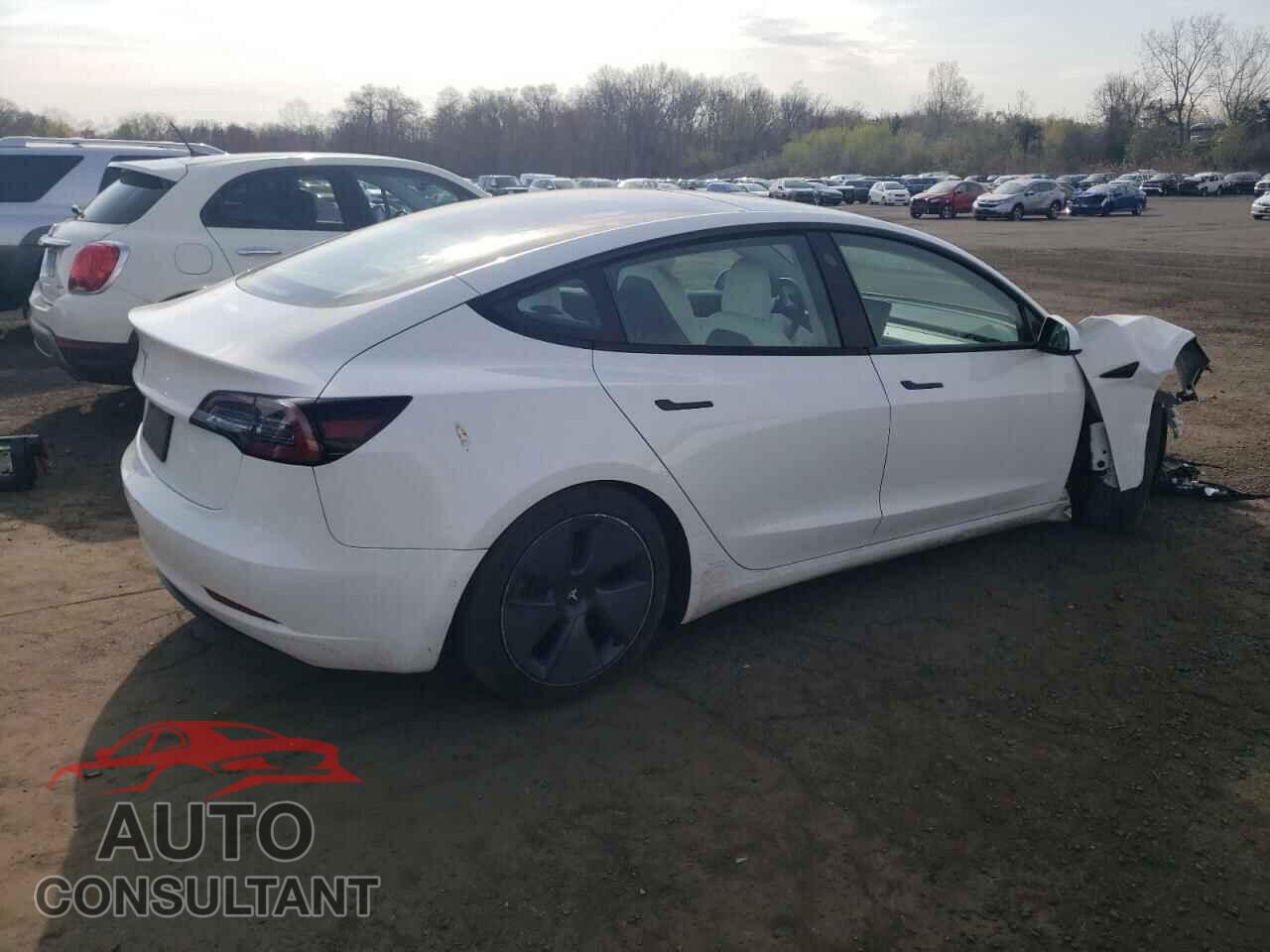 TESLA MODEL 3 2021 - 5YJ3E1EA7MF853816