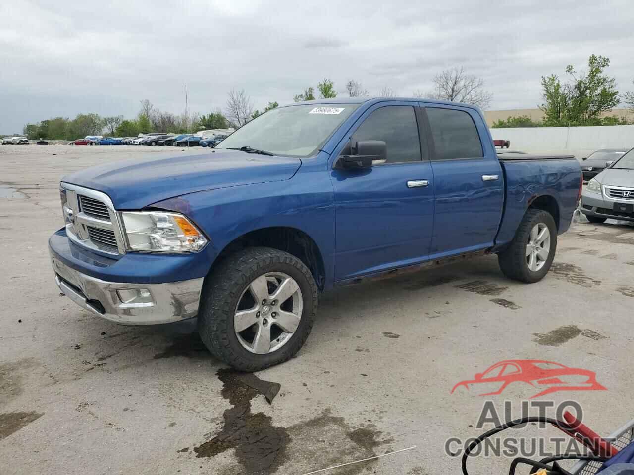 DODGE All Models 2010 - 1D7RV1CT2AS239680