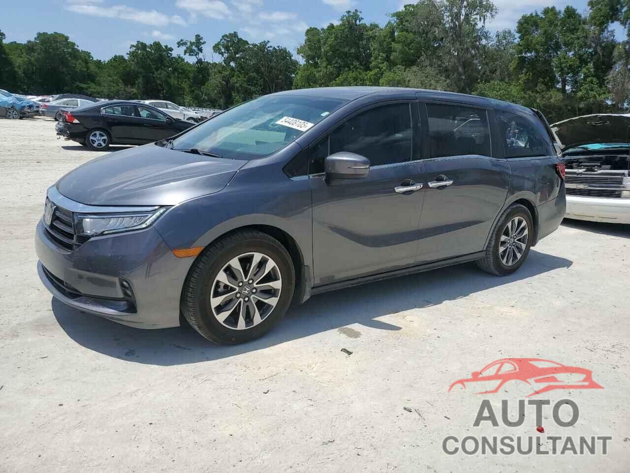 HONDA All Models 2023 - 5FNRL6H67PB059729
