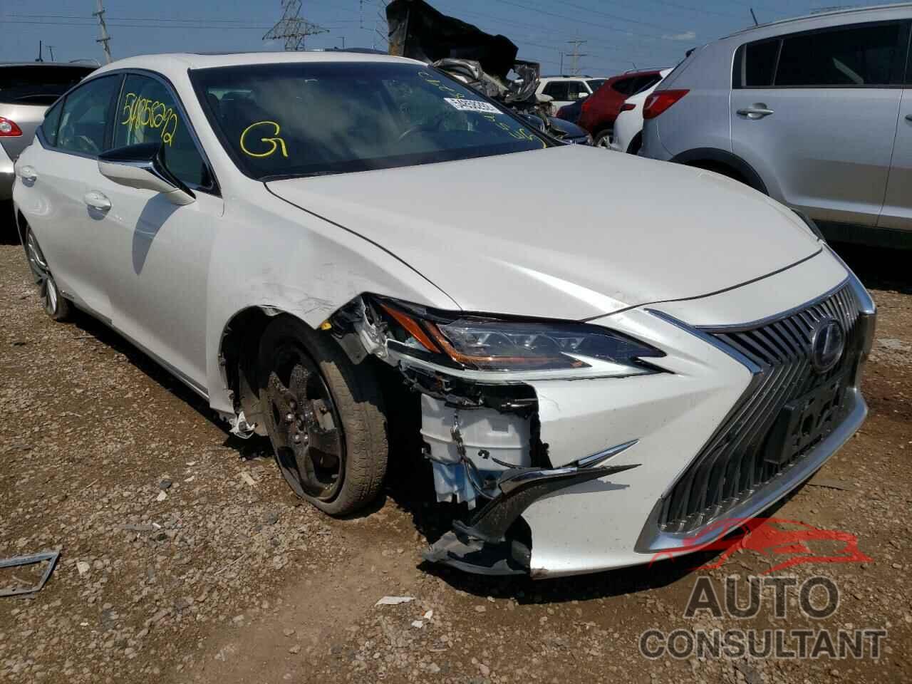 LEXUS ES300 2020 - 58AE21B12LU009229