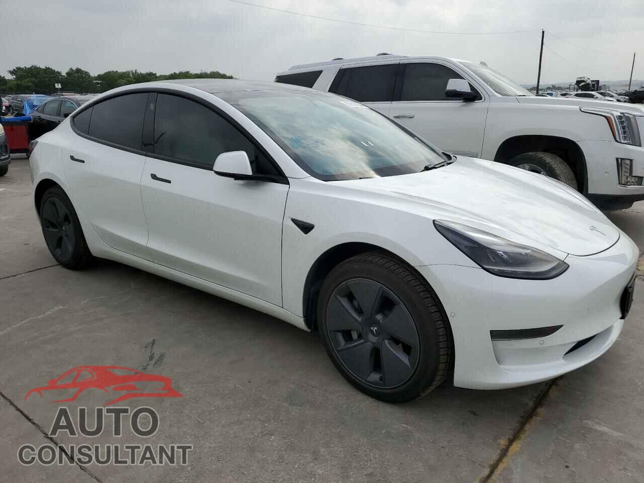 TESLA MODEL 3 2021 - 5YJ3E1EA6MF063052