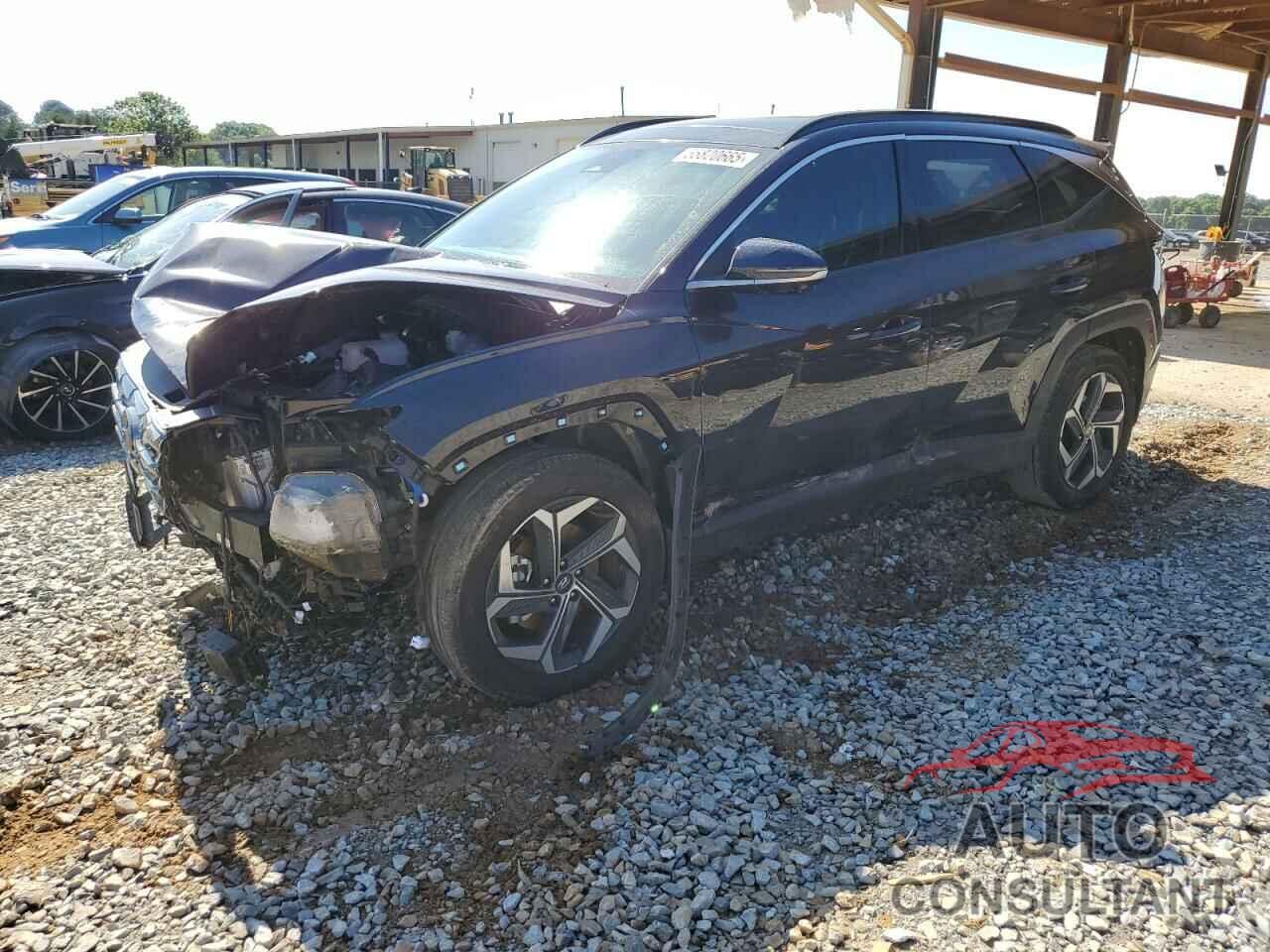 HYUNDAI TUCSON 2024 - KM8JECD12RU186510