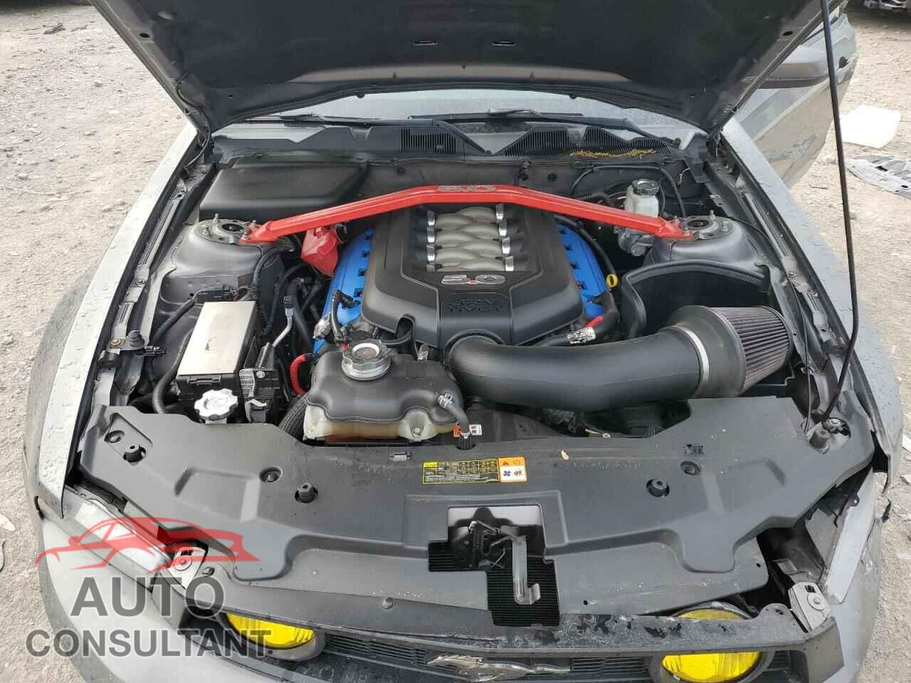 FORD MUSTANG 2011 - 1ZVBP8CF7B5146224