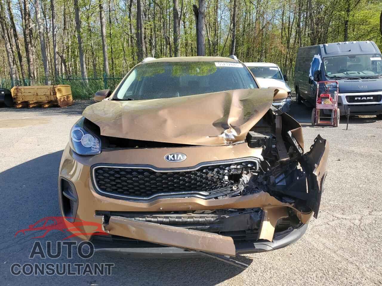KIA SPORTAGE 2017 - KNDPM3AC9H7033255