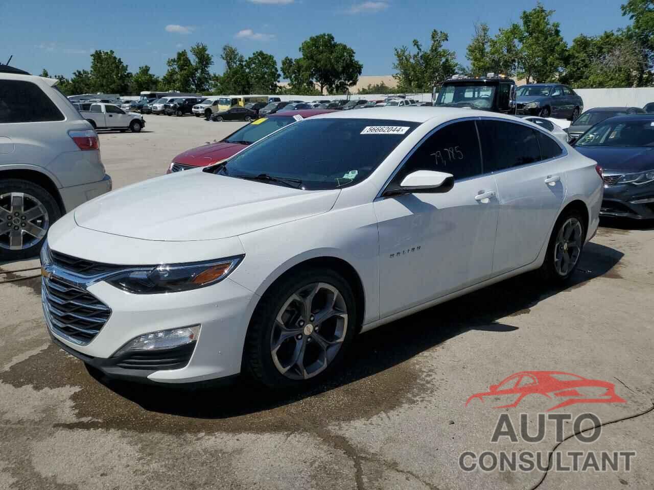 CHEVROLET MALIBU 2020 - 1G1ZD5ST6LF108519