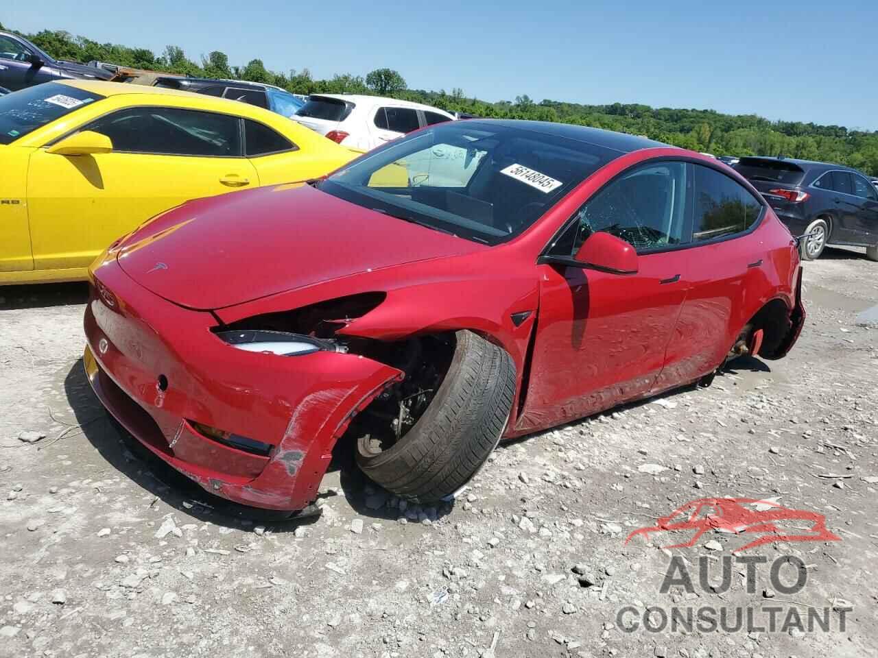 TESLA MODEL Y 2023 - 7SAYGDEF2PF804043