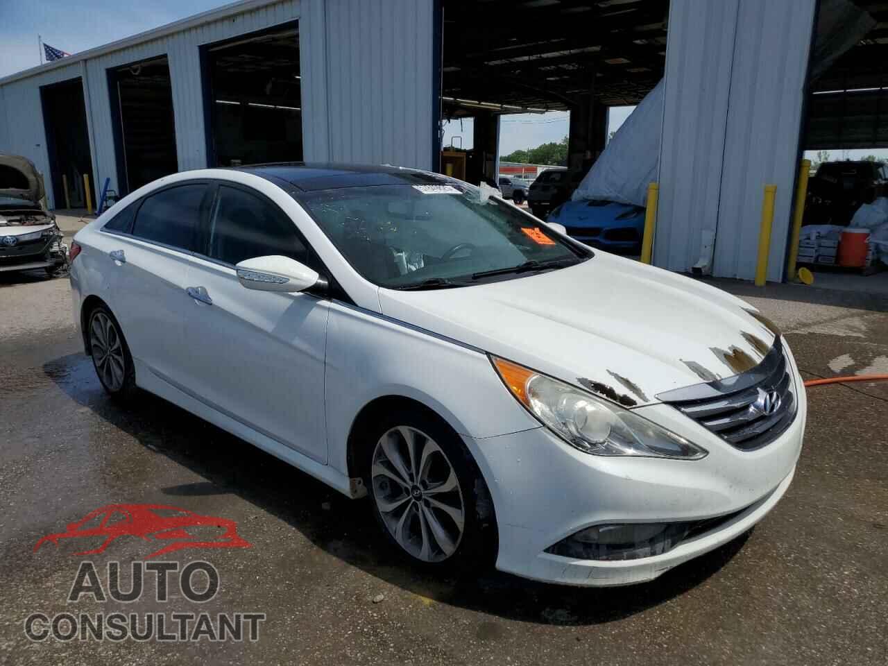 HYUNDAI SONATA 2014 - 5NPEC4AB3EH869383