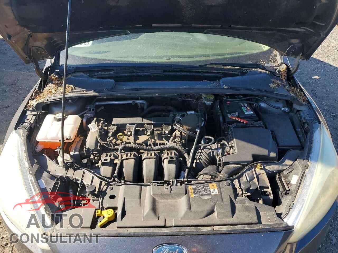 FORD FOCUS 2015 - 1FADP3F25FL358103
