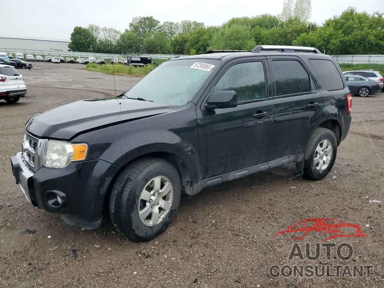 FORD ESCAPE 2010 - 1FMCU9EG3AKC05597