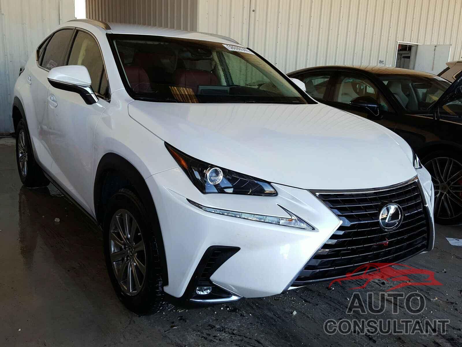 LEXUS NX 2019 - JTJYARBZ5K2125998