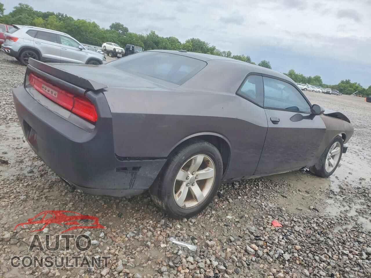 DODGE CHALLENGER 2013 - 2C3CDYAG5DH695657