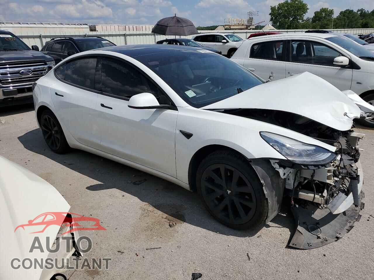 TESLA MODEL 3 2019 - 5YJ3E1EB4KF388434