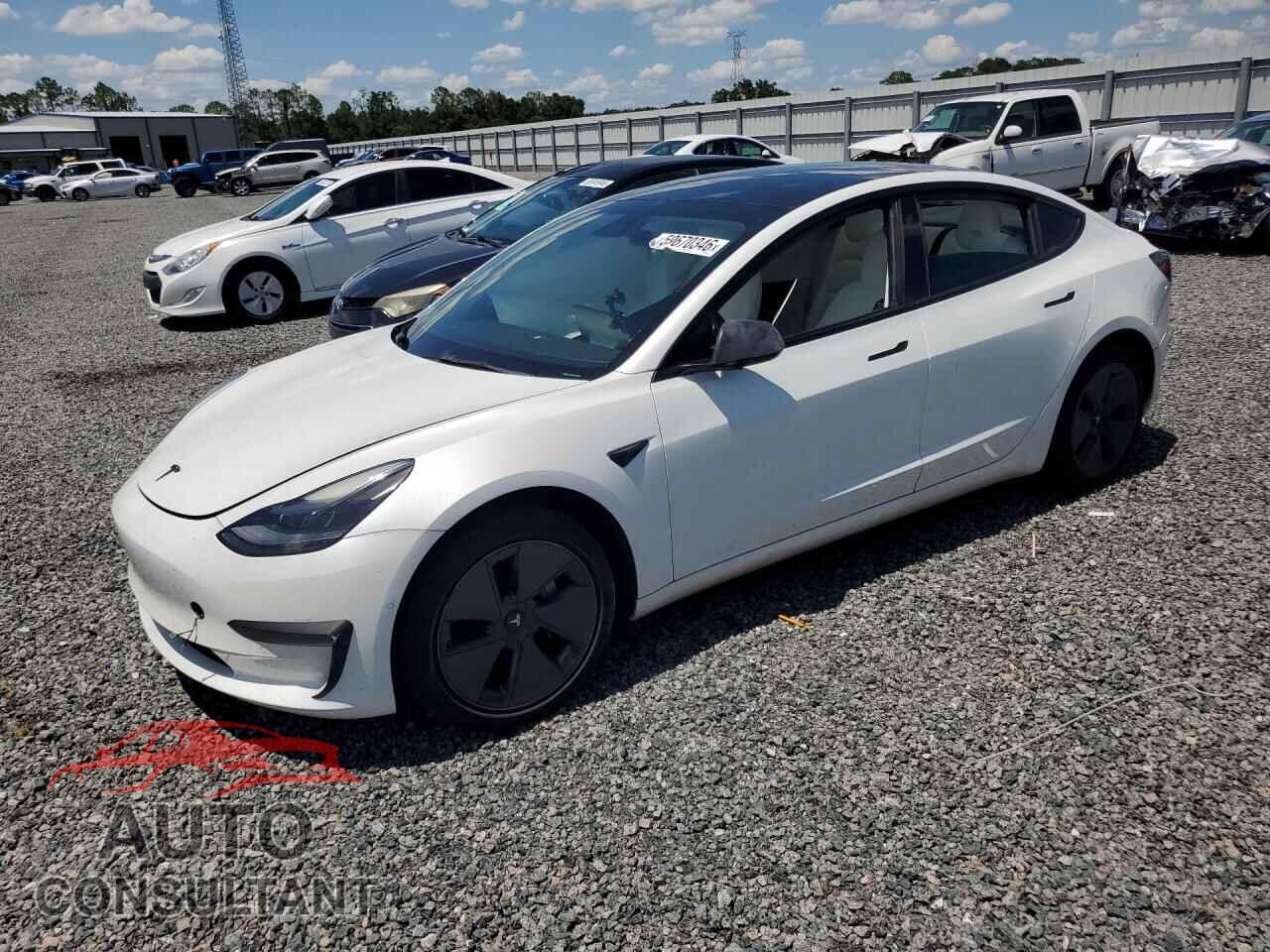 TESLA MODEL 3 2021 - 5YJ3E1EA3MF088894