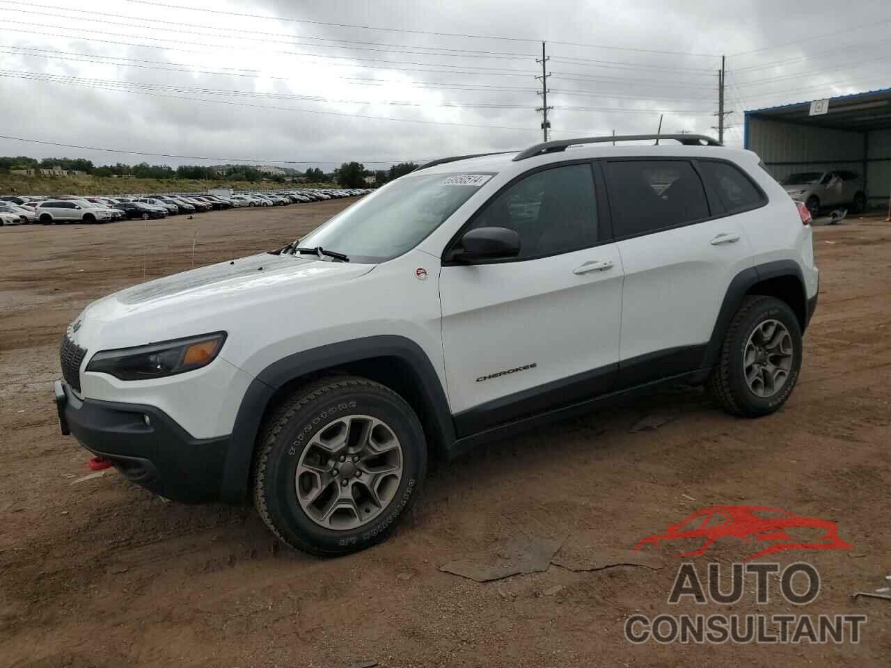 JEEP CHEROKEE 2020 - 1C4PJMBX4LD565927