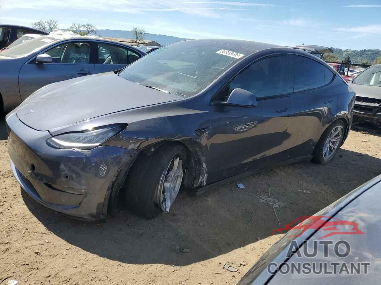 TESLA MODEL Y 2022 - 7SAYGDEE2NF402320