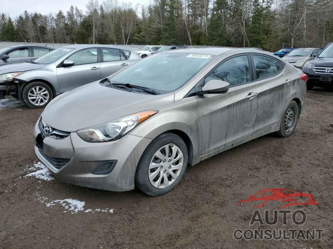 HYUNDAI ELANTRA 2013 - 5NPDH4AEXDH290462