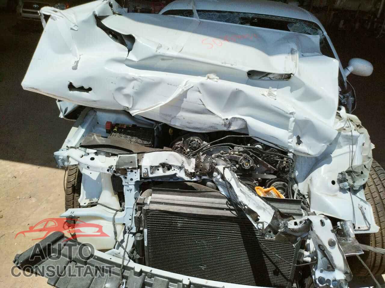 DODGE CHALLENGER 2019 - 2C3CDZAG9KH662373