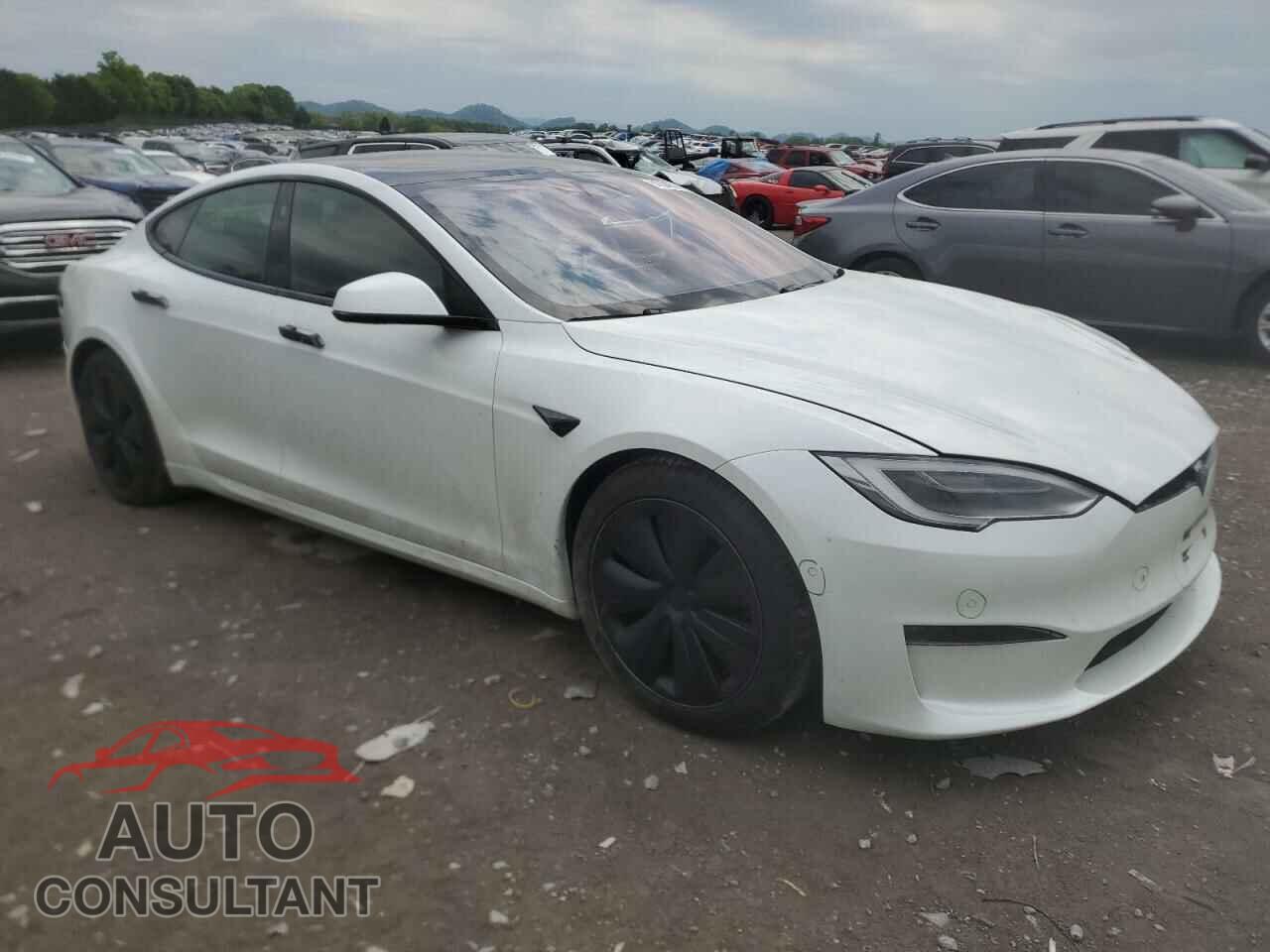 TESLA MODEL S 2021 - 5YJSA1E5XMF441948