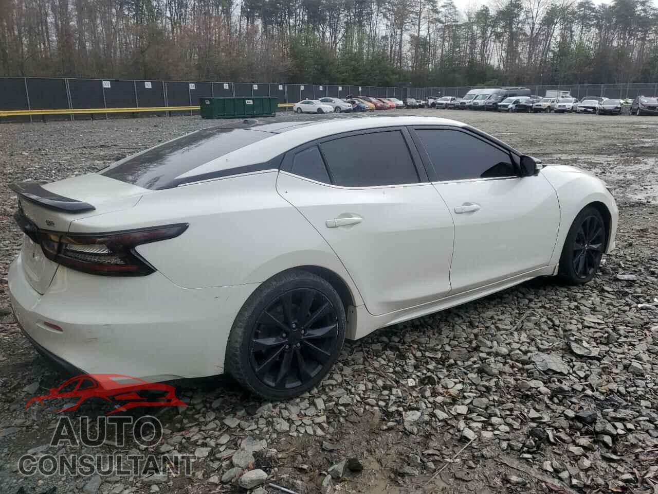 NISSAN MAXIMA 2021 - 1N4AA6EV8MC516089