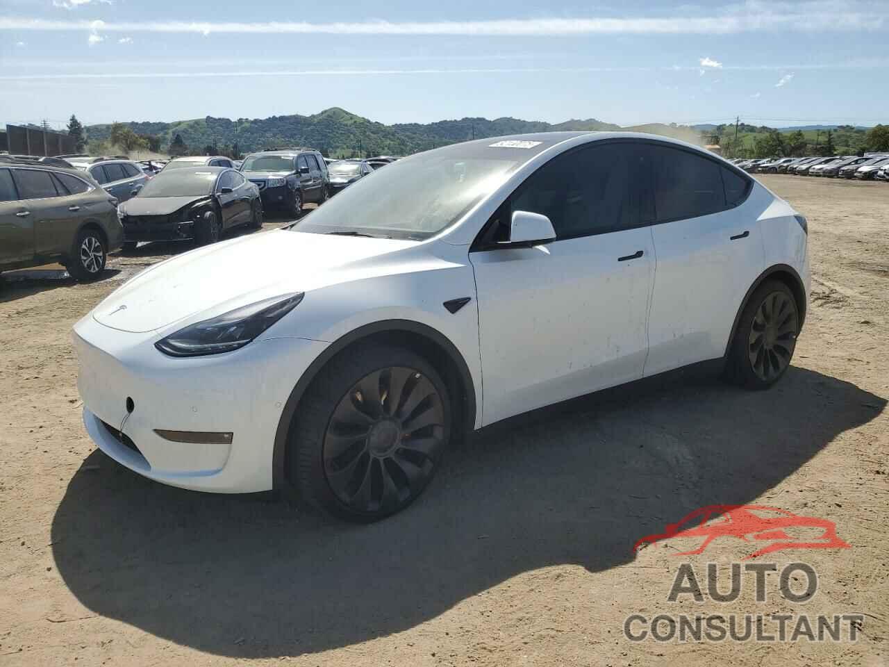 TESLA MODEL Y 2022 - 7SAYGDEF5NF509919