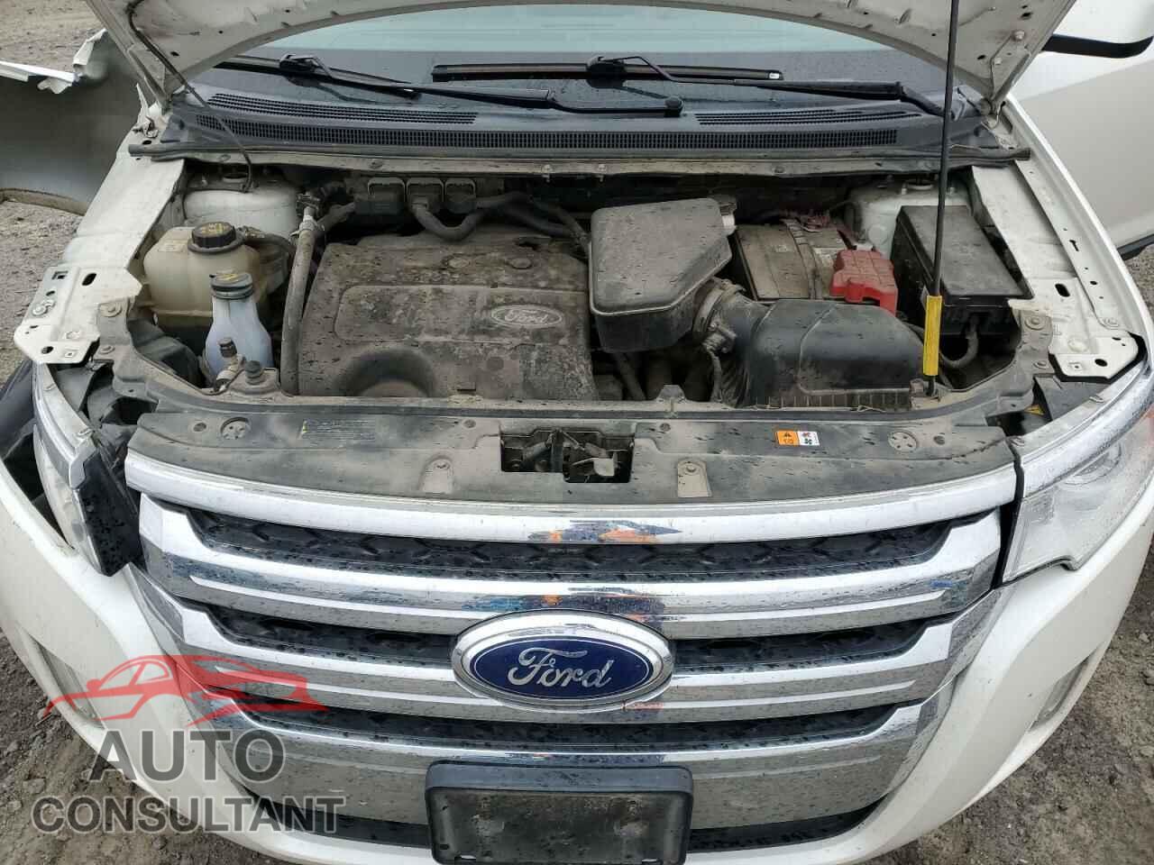 FORD EDGE 2011 - 2FMDK4KC2BBA43343