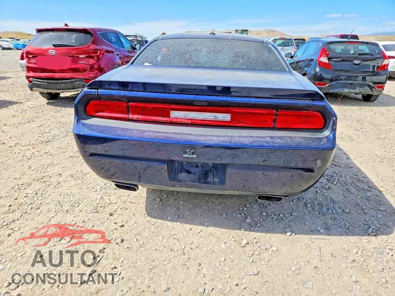 DODGE CHALLENGER 2013 - 2C3CDYBT7DH565116