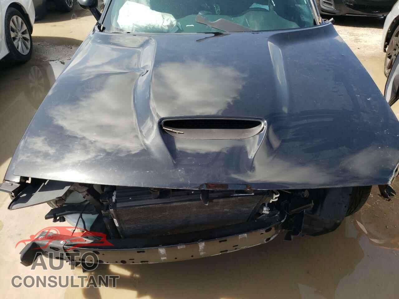 DODGE CHALLENGER 2019 - 2C3CDZBT5KH521571