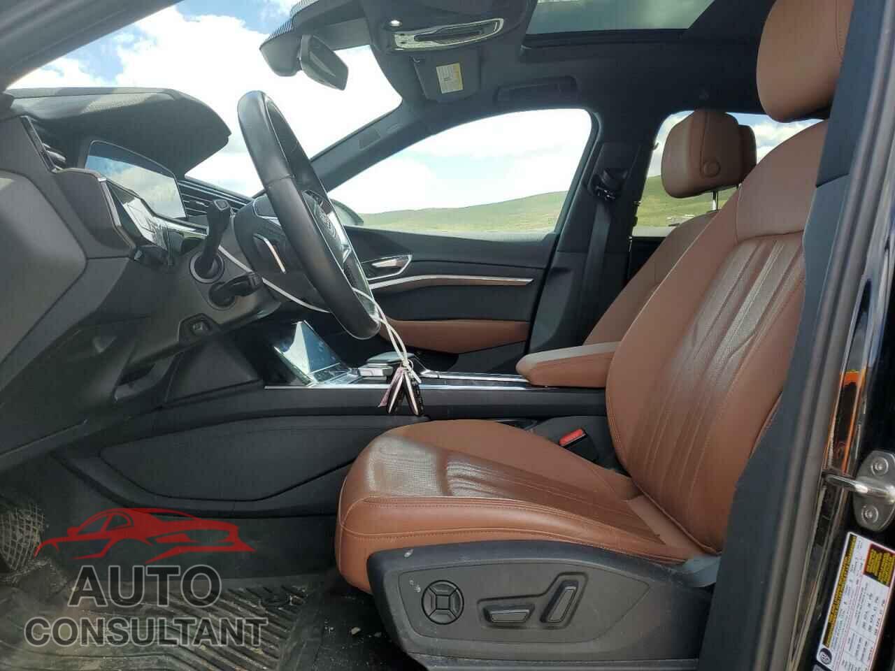 AUDI E-TRON 2019 - WA1LABGE1KB021741