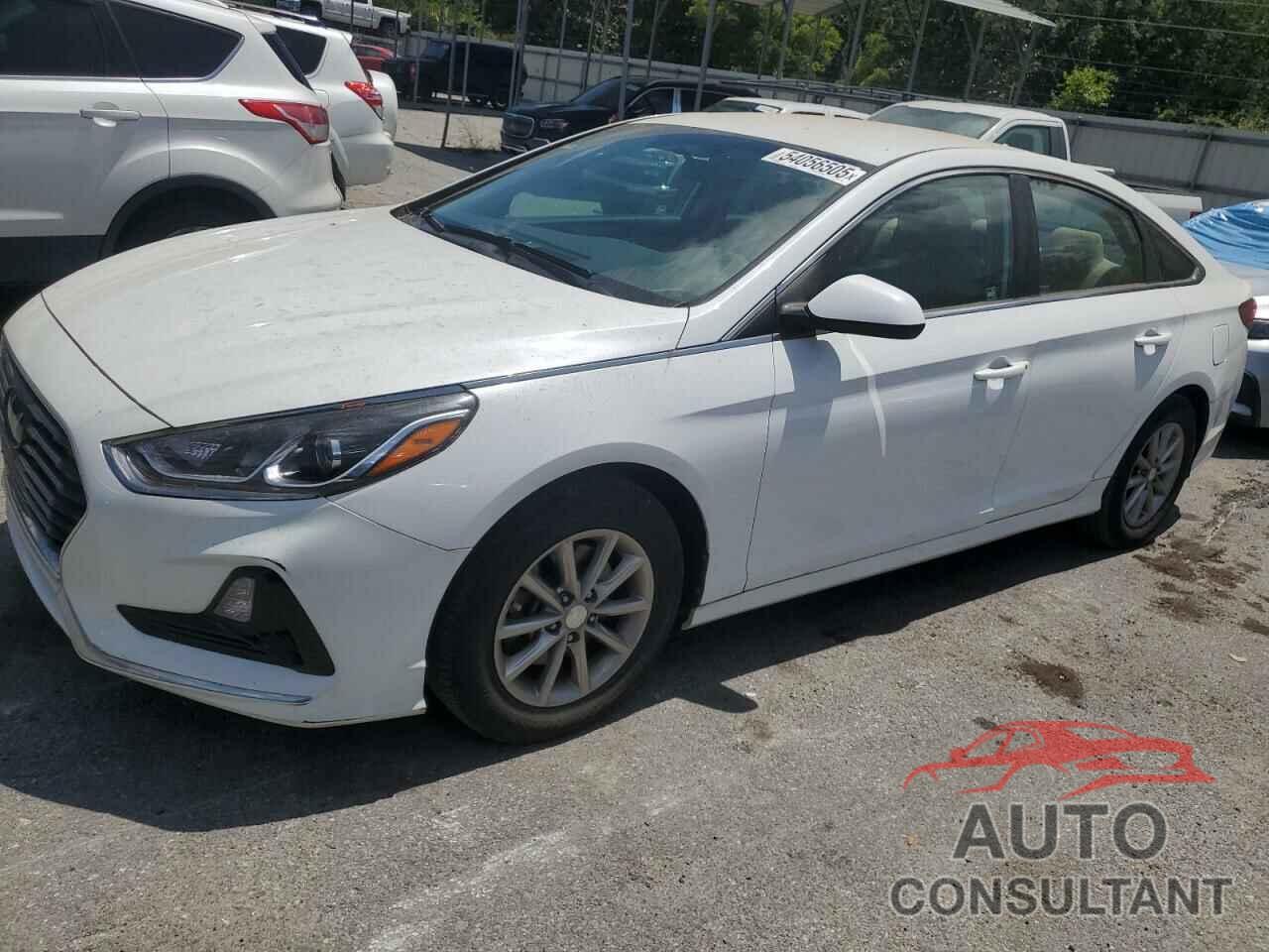 HYUNDAI SONATA 2019 - 5NPE24AFXKH764891
